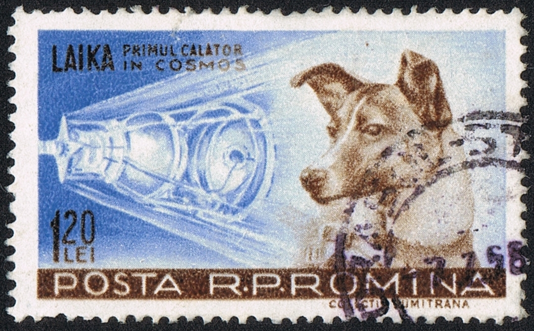 Romanian postage stamp from 1959 with the image of Laika